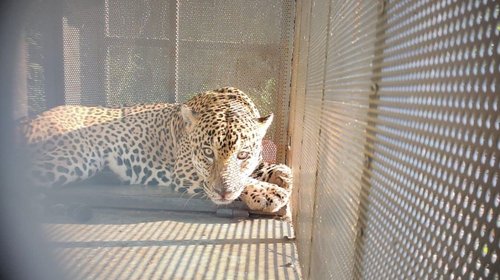 EH_UNA_FOTO_2025_10_25_T114109_078_e5321f8c1a