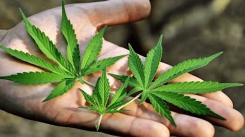 EH_UNA_FOTO_2025_11_03_T133644_486_831b81c15e