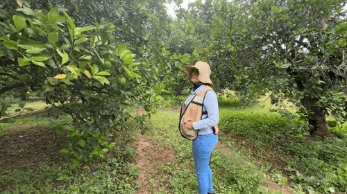 EH_UNA_FOTO_2025_11_07_T114739_416_25170baa77