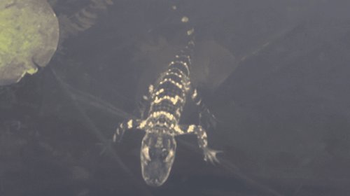 EH_UNA_FOTO_2025_11_13_T151129_628_2535019c30