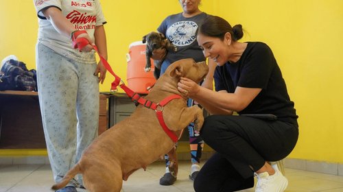 EH_UNA_FOTO_2025_11_24_T123821_432_b7708dc408