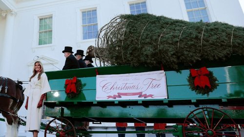 EH_UNA_FOTO_2025_11_24_T143227_621_19d7b81adb