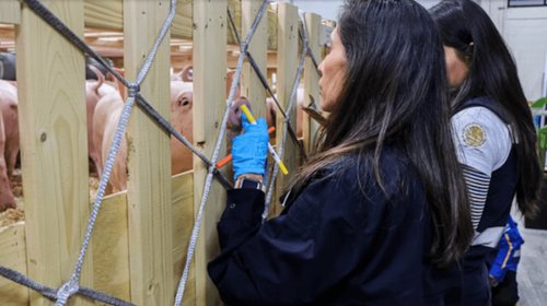 small_EH_UNA_FOTO_2025_11_29_T075356_313_683707ccde