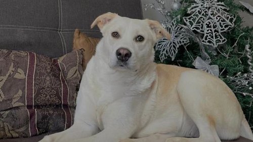 EH_UNA_FOTO_2026_01_10_T140116_293_452d2991b7