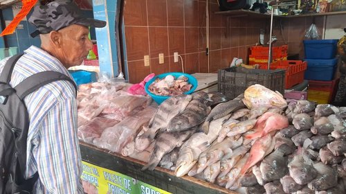 EH_UNA_FOTO_2026_03_02_T165559_551_bf3b519bc4