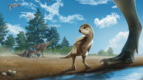 EH_UNA_FOTO_2026_03_21_T131846_228_e6600eff42