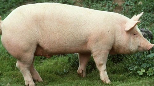 EH_UNA_FOTO_36_07990b4633