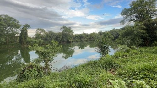 EH_UNA_FOTO_37ad2795f6