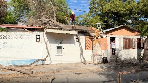 Retiran agentes de Nuevo Laredo árbol caído sobre vivienda