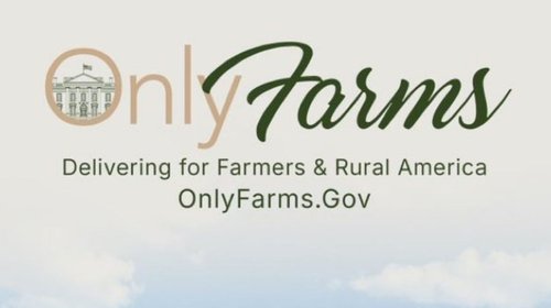 EH_UNA_FOTO_53_52245758c2