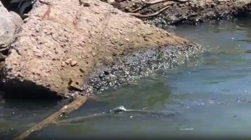 Genera derrame de hidrocarburo, daños a pescadores en Tamaulipas