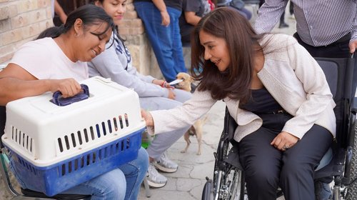 Reportan 11 casos de rickettsia en el sureste de Coahuila