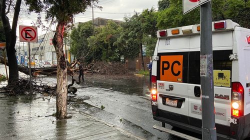 Un árbol caído paraliza el tránsito en Eje 3 Norte en CDMX