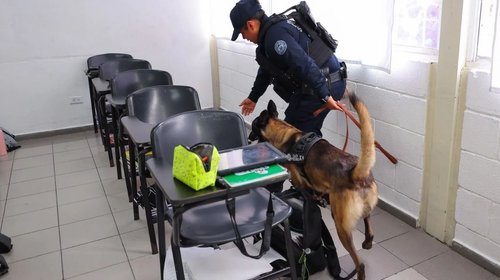 Con binomios K9 refuerzan la prevención escolar en San Pedro