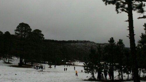 Exhortan_resguardarse_Tamaulipas_frente_frio_d4dc5afc22