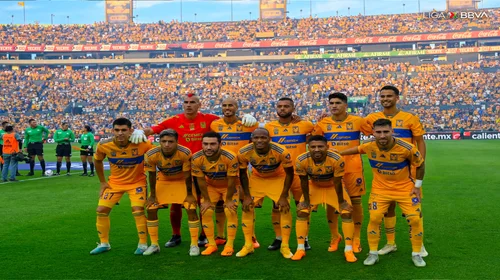 Fz_q_DIZ_Xs_AA_Pc_MG_8b07a559c3