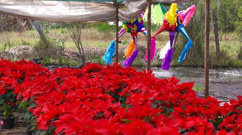 G6yyf_TC_Xk_A_Ekm_O1_b37c45d6db