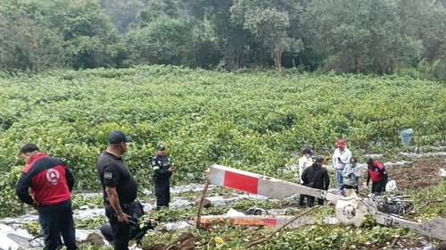 Gz4_Wt_D_Ws_A_Aob_Zn_5982ee25b8