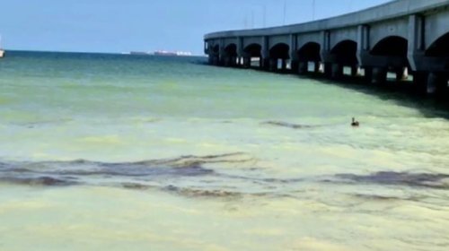 H_Gck_Z_Br_WEA_Avs_Pd_f4bbab0a4b