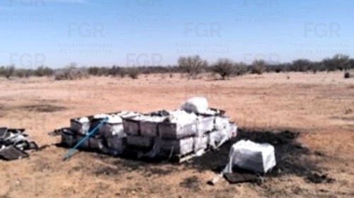 H_Gck_z_M_Xc_A_Ag4no_52dacadd9f