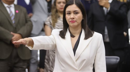 Blanca Cruz es elegida como presidenta provisional del INE
