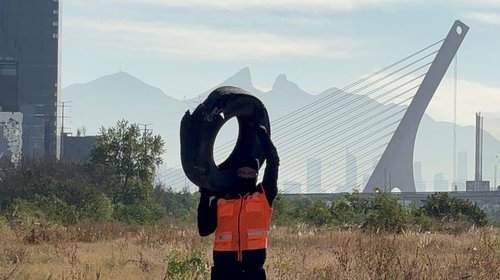 IMG_20251115_125857_840_a6f9609d8c