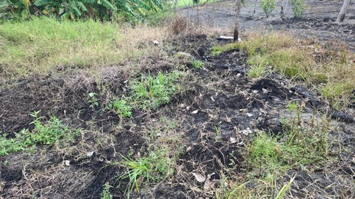 IMG_20260209_WA_0434_ede7e69109