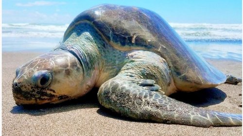 IMG_20260330_WA_0165_ce5a93437f