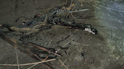 Hombre amenaza con armas blancas a policías y bomberos