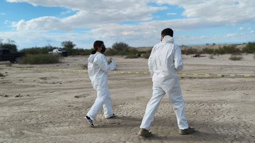 Investigan hallazgo de persona sin vida en carretera de Parras