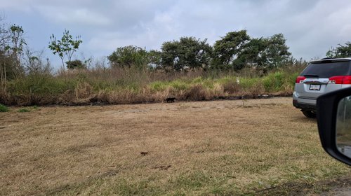 Investigan invasiones de terrenos en Tamaulipas y Altamira