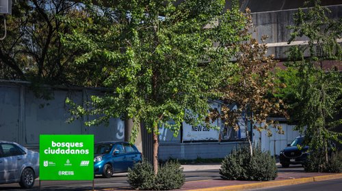 IMG_3498_2_c130a57274