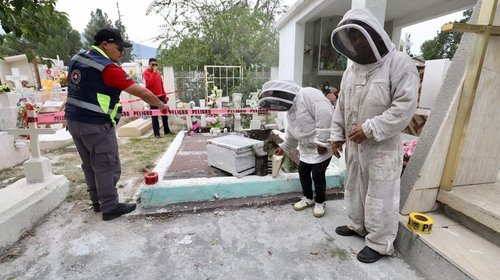  Panteones de Saltillo deberán restringir zonas de riesgo