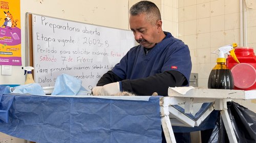 small_IMG_6162_bdad661861