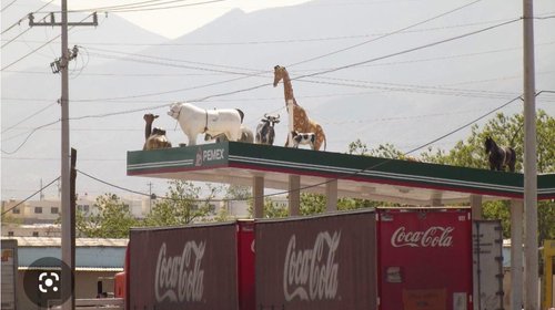 Viralizan falsa 'denuncia' contra venados de gasolinera