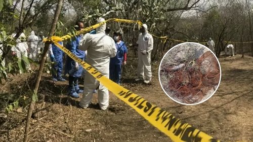 INFO_7_CONTEXTO_1_f0b3f2a09b