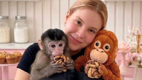 INFO_7_UNA_FOTO_5_6d75fc6460