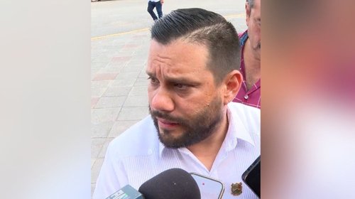 Investigan cuatro incendios forestales provocados en Tamaulipas
