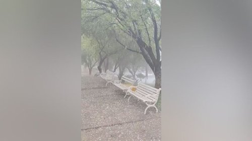 INFO_7_VERTICAL_50_18fb9dc1bc