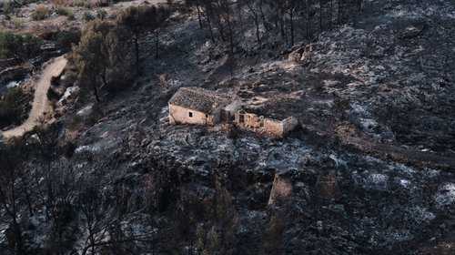 Cientos de bomberos combaten incendio forestal al sur de España