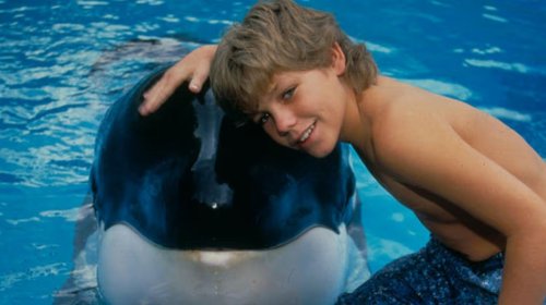 Tendrá documental Keiko, la orca de Liberen a Willy