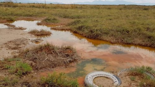 PLANTILLAS_WEB_EH_INFO_7_20_7303cee5dd