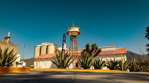 Planta_Hidalgo1_e2b3b74464