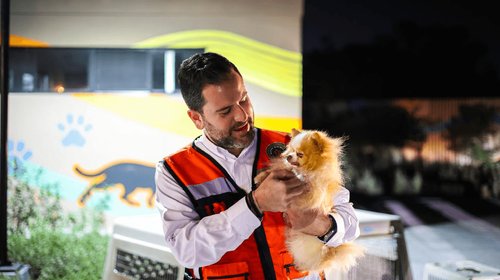 Comparte Ambiente consejos para cuidar a mascotas de lluvias