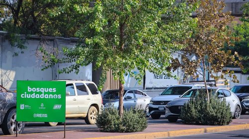 Renuevan_Centro_Monterrey_Bosques_Ciudadanos_b252ba4287