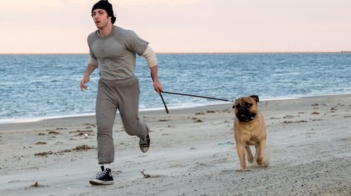 Lanzan tráiler de 'I Play Rocky', biopic de Stallone