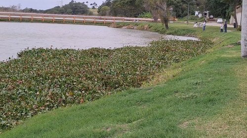 Screenshot_20260311_174522_Gallery_23178d52ca