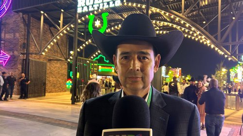 Coahuila prepara 20,000 cabezas de ganado para exportar a EUA
