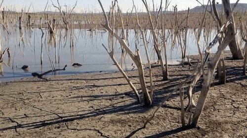 Sufren_sequia_moderada_al_norte_de_Tamaulipas_918d03f884