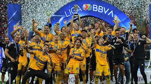 Tigres_campeon_d0bdb82511